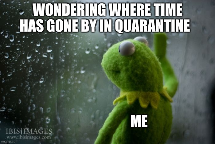 kermit window | WONDERING WHERE TIME HAS GONE BY IN QUARANTINE; ME | image tagged in kermit window,quarantine,2020,time | made w/ Imgflip meme maker