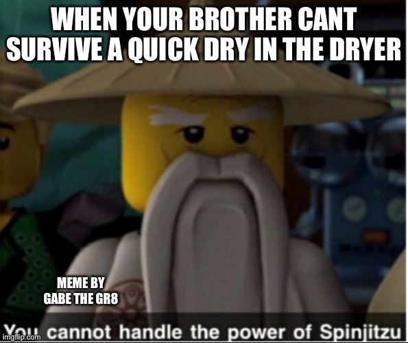 You cannot handle the power of Spinjitzu | WHEN YOUR BROTHER CANT SURVIVE A QUICK DRY IN THE DRYER; MEME BY GABE THE GR8 | image tagged in you cannot handle the power of spinjitzu | made w/ Imgflip meme maker
