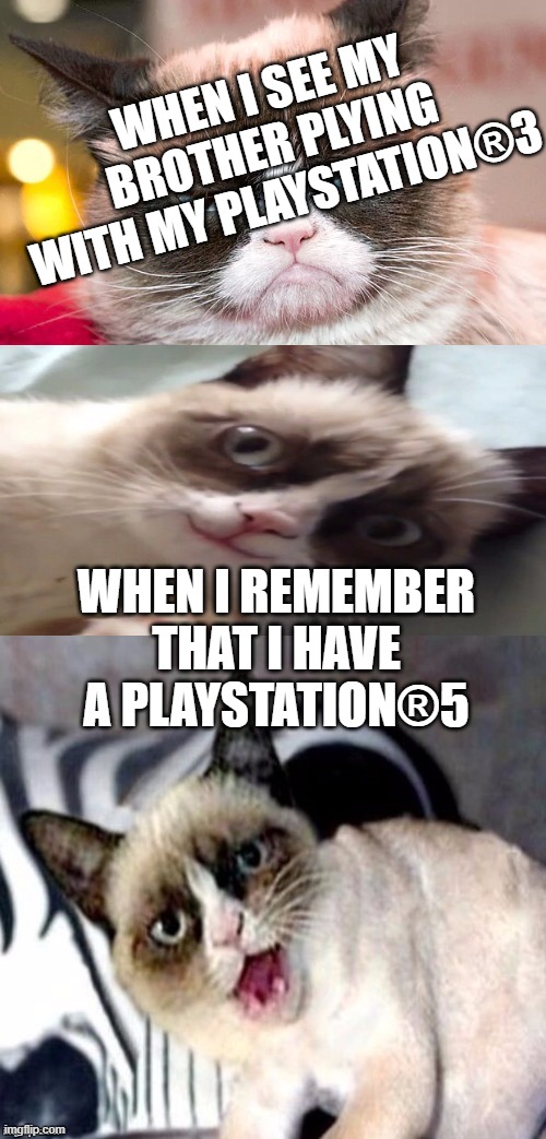 My life | WHEN I SEE MY BROTHER PLYING WITH MY PLAYSTATION®3; WHEN I REMEMBER THAT I HAVE A PLAYSTATION®5 | image tagged in bad pun grumpy cat,memes,funny memes,cats,cat | made w/ Imgflip meme maker