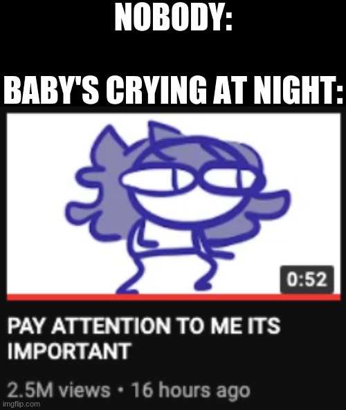 Pay attention to me its important | NOBODY:; BABY'S CRYING AT NIGHT: | image tagged in pay attention to me its important | made w/ Imgflip meme maker