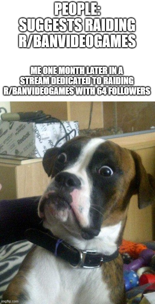 This was all in ONE MONTH, ONE MONTH and we have 64 followers! | PEOPLE: SUGGESTS RAIDING R/BANVIDEOGAMES; ME ONE MONTH LATER IN A STREAM DEDICATED TO RAIDING R/BANVIDEOGAMES WITH 64 FOLLOWERS | image tagged in shocked doggy | made w/ Imgflip meme maker