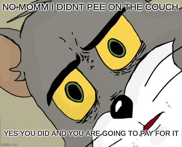 Unsettled Tom | NO MOMM I DIDNT PEE ON THE COUCH; YES YOU DID AND YOU ARE GOING TO PAY FOR IT | image tagged in memes,unsettled tom | made w/ Imgflip meme maker