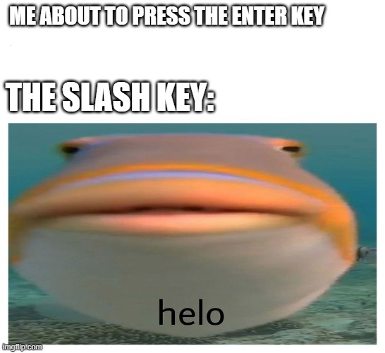 helo fish | ME ABOUT TO PRESS THE ENTER KEY; THE SLASH KEY: | image tagged in helo fish | made w/ Imgflip meme maker