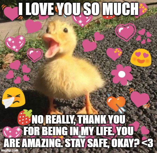 <33 | I LOVE YOU SO MUCH; NO REALLY, THANK YOU FOR BEING IN MY LIFE. YOU ARE AMAZING. STAY SAFE, OKAY? <3 | image tagged in wholesome quacc | made w/ Imgflip meme maker