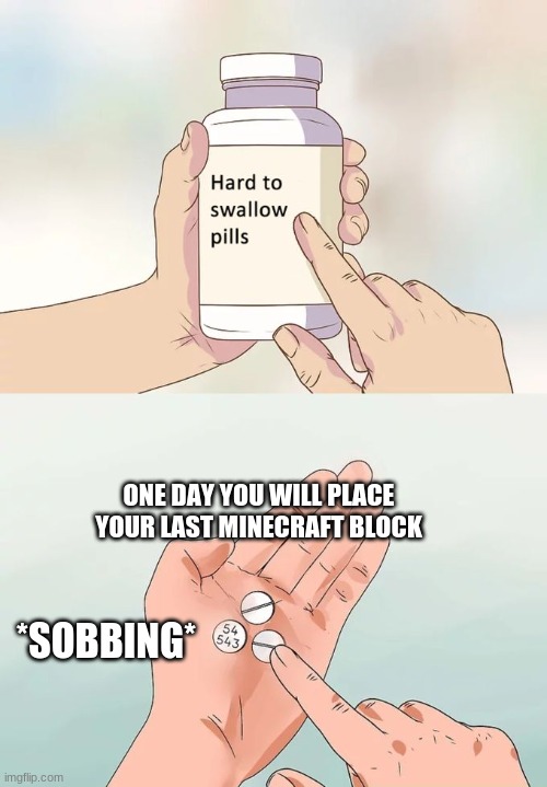 Hard To Swallow Pills Meme | ONE DAY YOU WILL PLACE YOUR LAST MINECRAFT BLOCK *SOBBING* | image tagged in memes,hard to swallow pills | made w/ Imgflip meme maker