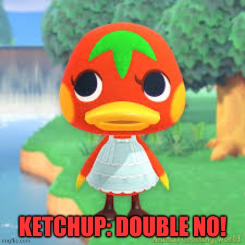 KETCHUP: DOUBLE NO! | made w/ Imgflip meme maker