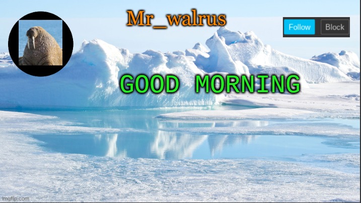 Mr_walrus | GOOD MORNING | image tagged in mr_walrus | made w/ Imgflip meme maker