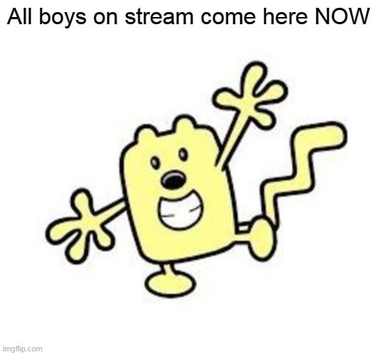 This is about NFF | All boys on stream come here NOW | image tagged in exercise with wubbzy,nff,wubbzy | made w/ Imgflip meme maker