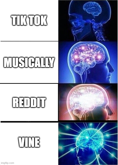 Expanding Brain | TIK TOK; MUSICALLY; REDDIT; VINE | image tagged in memes,expanding brain,tik tok sucks,reddit,vine | made w/ Imgflip meme maker