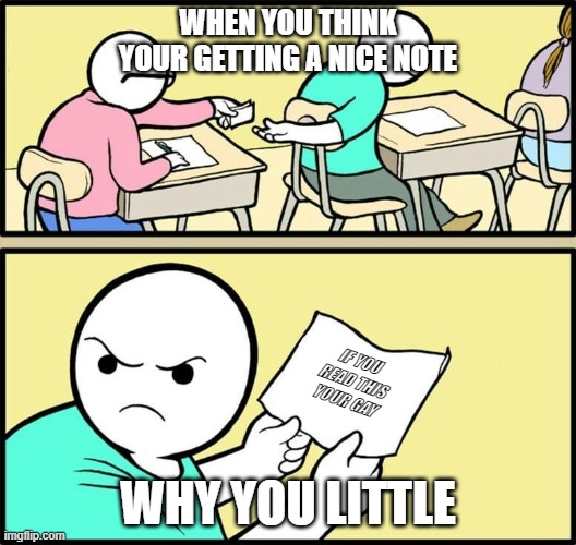 WHEN YOU THINK YOUR GETTING A NICE NOTE; IF YOU READ THIS YOUR GAY; WHY YOU LITTLE | image tagged in hmmm | made w/ Imgflip meme maker