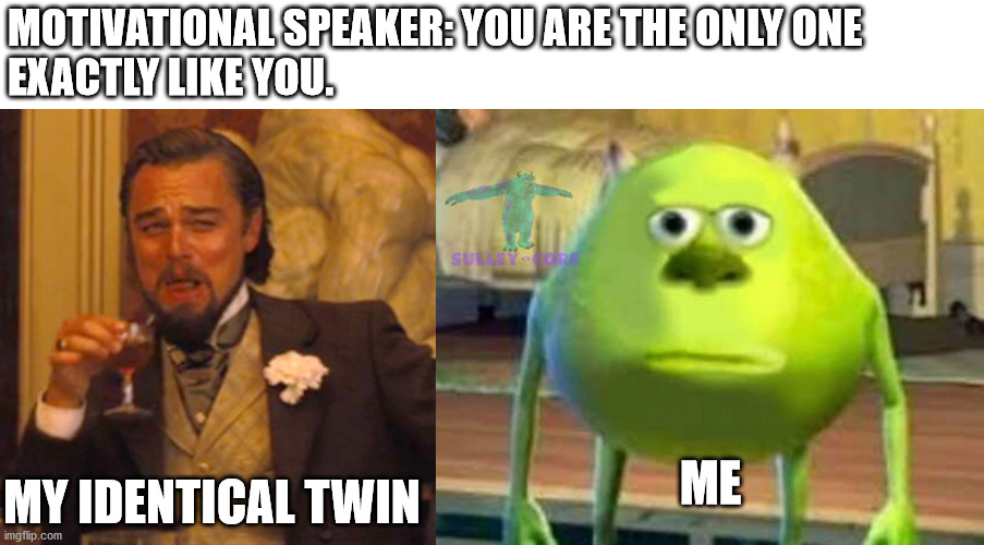 MOTIVATIONAL SPEAKER: YOU ARE THE ONLY ONE
EXACTLY LIKE YOU. MY IDENTICAL TWIN; ME | image tagged in memes,laughing leo,monsters inc | made w/ Imgflip meme maker