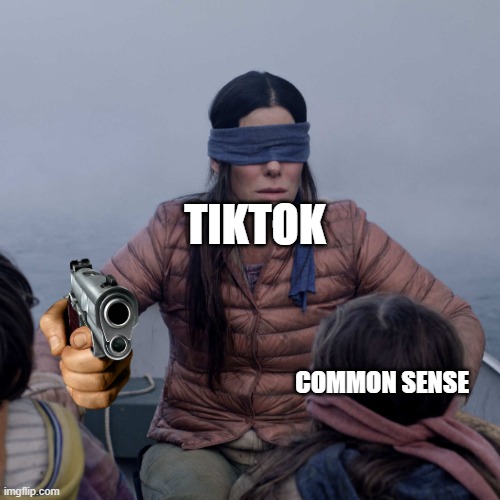 Bird Box | TIKTOK; COMMON SENSE | image tagged in memes,bird box | made w/ Imgflip meme maker