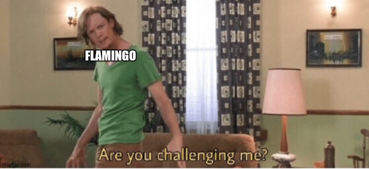 are you challenging me | FLAMINGO | image tagged in are you challenging me | made w/ Imgflip meme maker