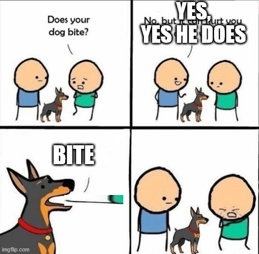 bitey | YES, YES HE DOES; BITE | image tagged in does your dog bite | made w/ Imgflip meme maker