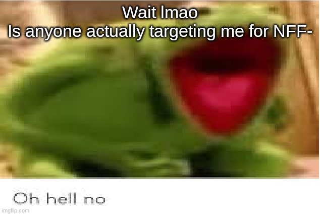 Oh Hell No | Wait lmao
Is anyone actually targeting me for NFF- | image tagged in oh hell no | made w/ Imgflip meme maker