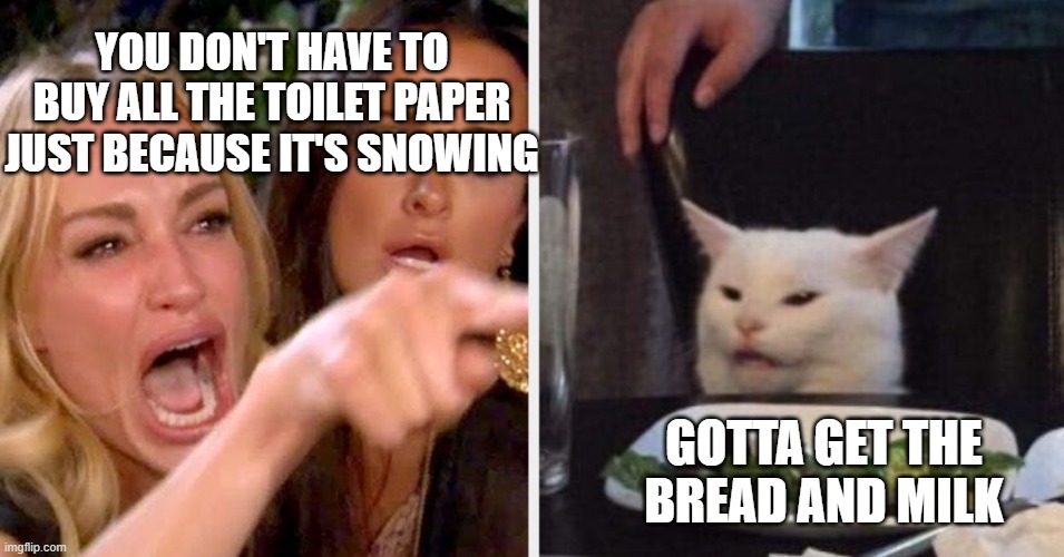 bread and milk | YOU DON'T HAVE TO BUY ALL THE TOILET PAPER JUST BECAUSE IT'S SNOWING; GOTTA GET THE BREAD AND MILK | image tagged in blizzard,snow | made w/ Imgflip meme maker