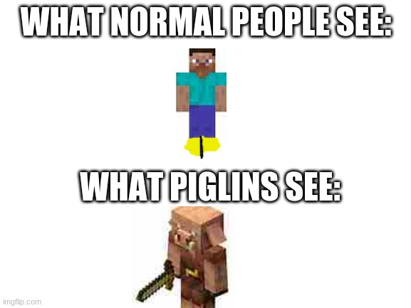 Blank White Template | WHAT NORMAL PEOPLE SEE:; WHAT PIGLINS SEE: | image tagged in blank white template | made w/ Imgflip meme maker