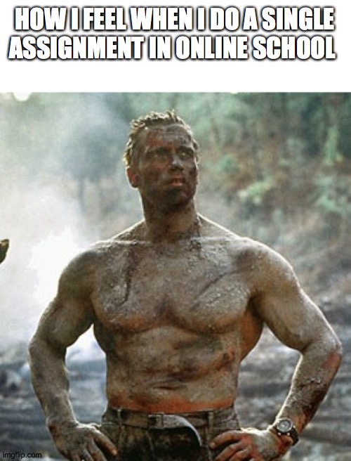 Im succesful!! | HOW I FEEL WHEN I DO A SINGLE ASSIGNMENT IN ONLINE SCHOOL | image tagged in memes,predator | made w/ Imgflip meme maker