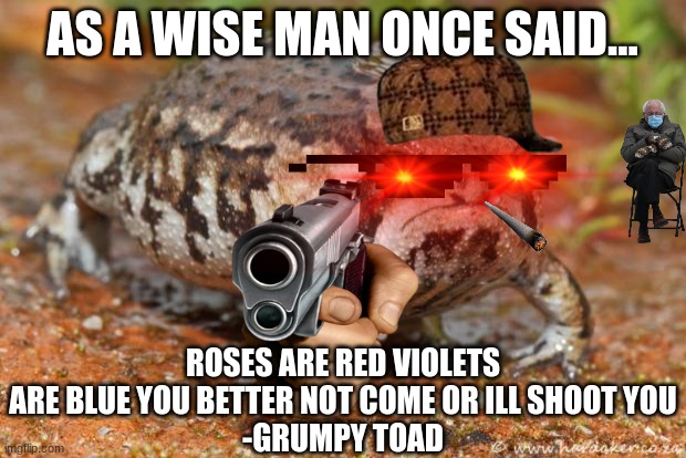 Grumpy Toad | AS A WISE MAN ONCE SAID... ROSES ARE RED VIOLETS ARE BLUE YOU BETTER NOT COME OR ILL SHOOT YOU
-GRUMPY TOAD | image tagged in memes,grumpy toad | made w/ Imgflip meme maker