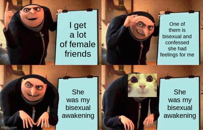 it. is. true. :> |  One of them is bisexual and confessed she had feelings for me; I get a lot of female friends; She was my bisexual awakening; She was my bisexual awakening | image tagged in memes,gru's plan,bi,lgbtq | made w/ Imgflip meme maker