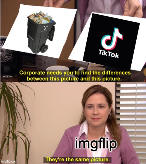 They are the same picture. | imgflip | image tagged in memes,they're the same picture | made w/ Imgflip meme maker