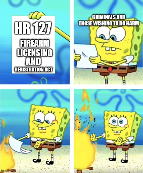 Proposed "Gun Controlled" law that will eviscerated the 2nd Amendment | CRIMINALS AND THOSE WISHING TO DO HARM; HR 127; FIREARM LICENSING; AND; REGISTRATION ACT | image tagged in spongebob burning paper,2a,second amendment,democrats,gun control,biden | made w/ Imgflip meme maker