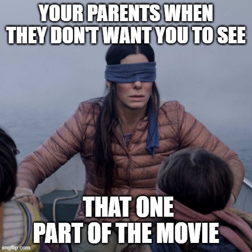 Bird Box Meme | YOUR PARENTS WHEN THEY DON'T WANT YOU TO SEE; THAT ONE PART OF THE MOVIE | image tagged in memes,bird box | made w/ Imgflip meme maker