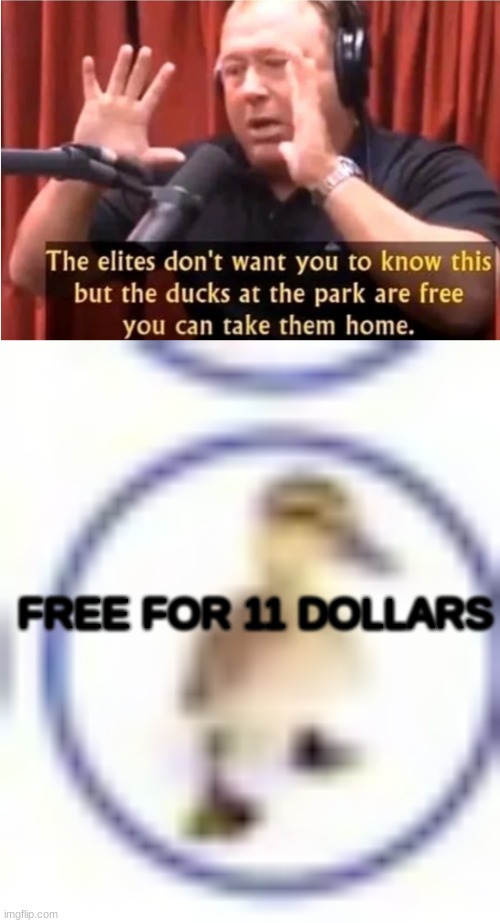 Duck 2: Electric Boogaloo | FREE FOR 11 DOLLARS | image tagged in duck | made w/ Imgflip meme maker