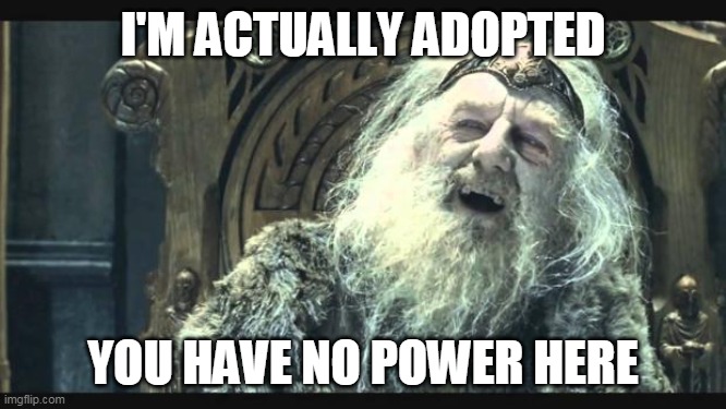 You have no power here | I'M ACTUALLY ADOPTED YOU HAVE NO POWER HERE | image tagged in you have no power here | made w/ Imgflip meme maker
