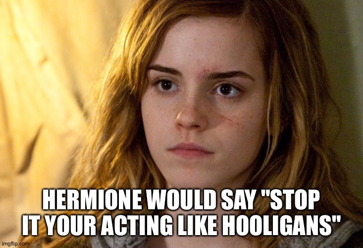 HERMIONE WOULD SAY "STOP IT YOUR ACTING LIKE HOOLIGANS" | made w/ Imgflip meme maker