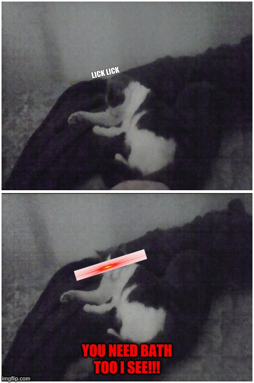 Cat | LICK LICK; YOU NEED BATH TOO I SEE!!! | image tagged in bath,lazar | made w/ Imgflip meme maker