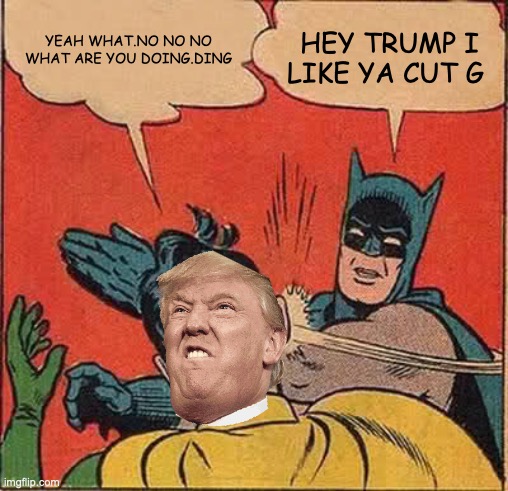 FUNNY | YEAH WHAT.NO NO NO WHAT ARE YOU DOING.DING; HEY TRUMP I LIKE YA CUT G | image tagged in memes,batman slapping robin | made w/ Imgflip meme maker