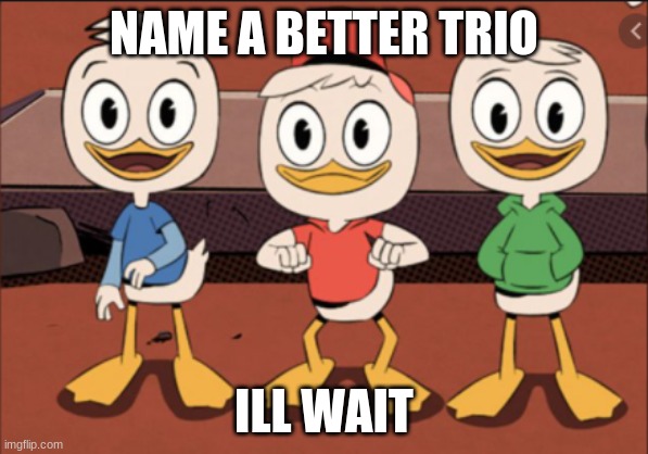 you'll try, but you cant | NAME A BETTER TRIO; ILL WAIT | image tagged in duck | made w/ Imgflip meme maker