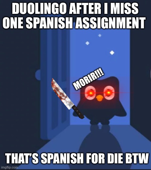 Help me plz | DUOLINGO AFTER I MISS ONE SPANISH ASSIGNMENT; MORIR!!! THAT’S SPANISH FOR DIE BTW | image tagged in duolingo bird | made w/ Imgflip meme maker