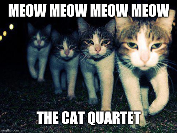 Wrong Neighboorhood Cats | MEOW MEOW MEOW MEOW; THE CAT QUARTET | image tagged in memes,wrong neighboorhood cats | made w/ Imgflip meme maker