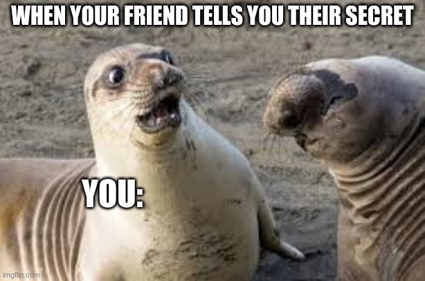 When Your Friend Tells You Their Secret | WHEN YOUR FRIEND TELLS YOU THEIR SECRET; YOU: | image tagged in secrets,oh my,sea lions,surprised | made w/ Imgflip meme maker