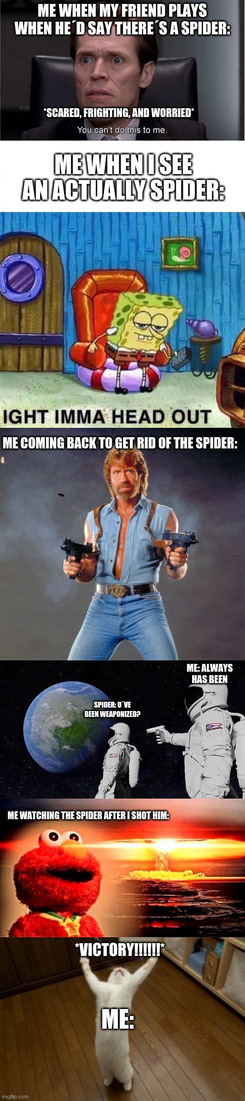 Me in a nutshell | ME WHEN MY FRIEND PLAYS WHEN HE´D SAY THERE´S A SPIDER: *SCARED, FRIGHTING, AND WORRIED* ME WHEN I SEE AN ACTUALLY SPIDER: ME COMING BACK TO | image tagged in you can't do this to me,memes,spongebob ight imma head out,chuck norris guns,always has been,elmo nuclear explosion | made w/ Imgflip meme maker