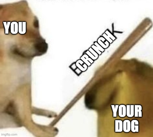 Bonk | YOU YOUR DOG CRUNCH | image tagged in bonk | made w/ Imgflip meme maker