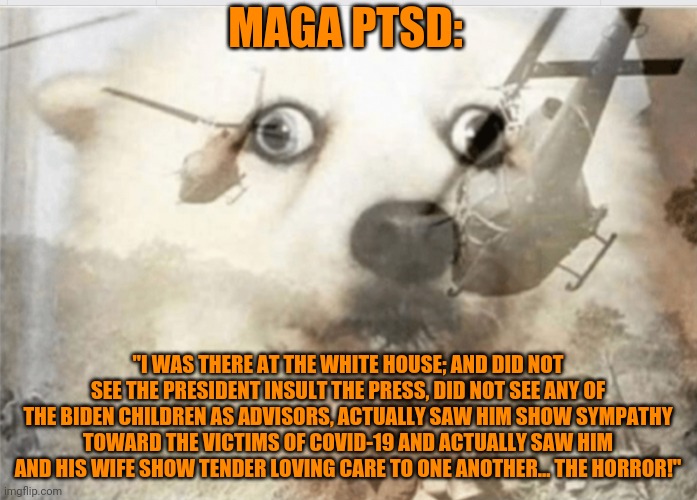 PTSD dog | MAGA PTSD: "I WAS THERE AT THE WHITE HOUSE; AND DID NOT SEE THE PRESIDENT INSULT THE PRESS, DID NOT SEE ANY OF THE BIDEN CHILDREN AS ADVISOR | image tagged in ptsd dog | made w/ Imgflip meme maker