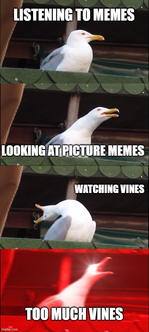 when you look for something funny | LISTENING TO MEMES; LOOKING AT PICTURE MEMES; WATCHING VINES; TOO MUCH VINES | image tagged in memes,inhaling seagull | made w/ Imgflip meme maker