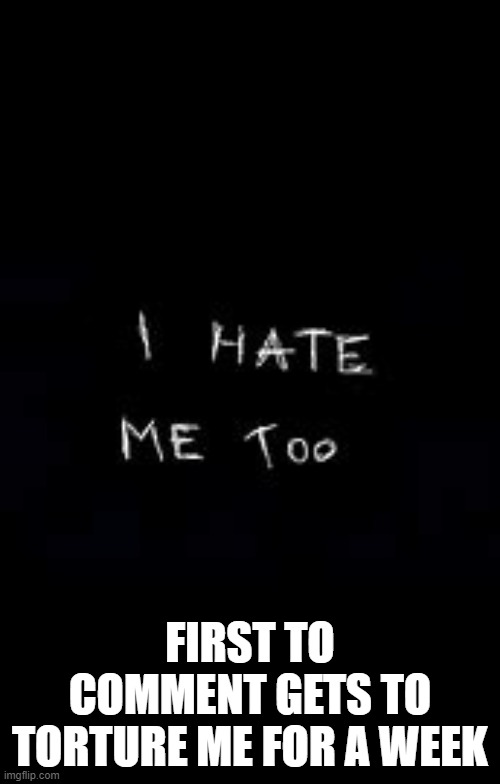 This is goes for all except maze | FIRST TO COMMENT GETS TO TORTURE ME FOR A WEEK | image tagged in i hate me too | made w/ Imgflip meme maker