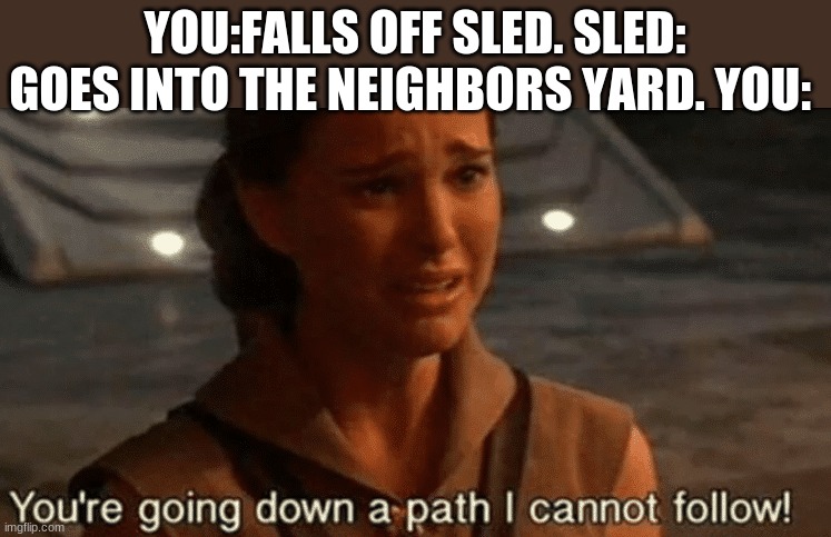 youre going down a path i cannot follow | YOU:FALLS OFF SLED. SLED: GOES INTO THE NEIGHBORS YARD. YOU: | image tagged in youre going down a path i cannot follow | made w/ Imgflip meme maker