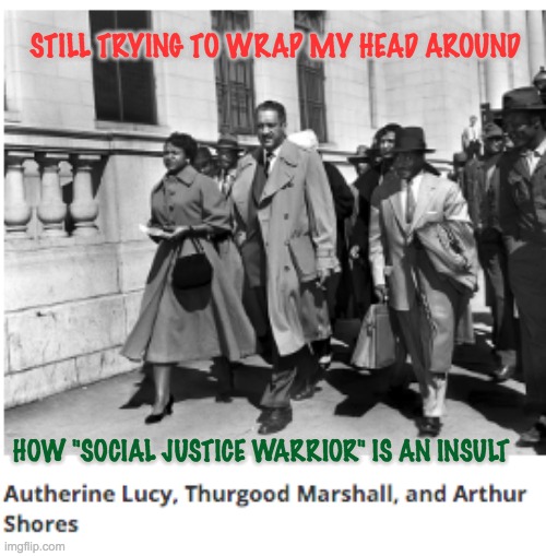 Happy Black History Month! | STILL TRYING TO WRAP MY HEAD AROUND; HOW "SOCIAL JUSTICE WARRIOR" IS AN INSULT | image tagged in social justice warriors,education,justice | made w/ Imgflip meme maker