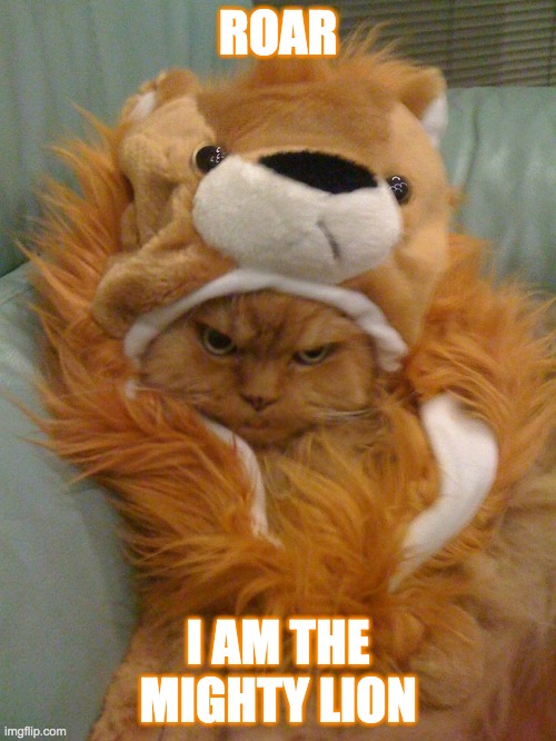 I don't like you roar | ROAR; I AM THE MIGHTY LION | image tagged in cats | made w/ Imgflip meme maker