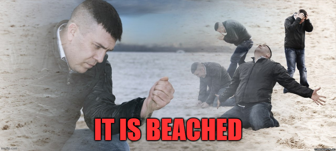 Guy with sand in the hands of despair | IT IS BEACHED | image tagged in guy with sand in the hands of despair | made w/ Imgflip meme maker