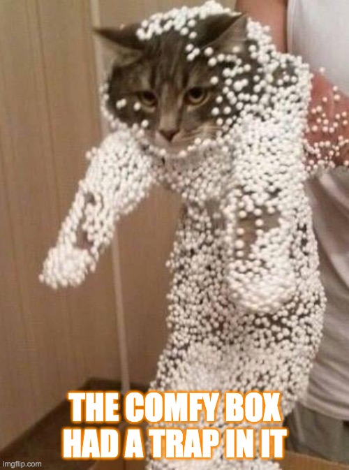 kitty | THE COMFY BOX HAD A TRAP IN IT | image tagged in kitty | made w/ Imgflip meme maker