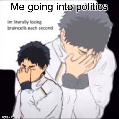They idiots over there | Me going into politics | image tagged in im literally losing braincells each second | made w/ Imgflip meme maker