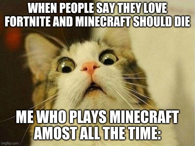 Scared Cat | WHEN PEOPLE SAY THEY LOVE FORTNITE AND MINECRAFT SHOULD DIE; ME WHO PLAYS MINECRAFT AMOST ALL THE TIME: | image tagged in memes,scared cat | made w/ Imgflip meme maker