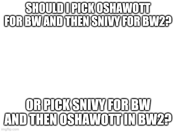 What should I do | SHOULD I PICK OSHAWOTT FOR BW AND THEN SNIVY FOR BW2? OR PICK SNIVY FOR BW AND THEN OSHAWOTT IN BW2? | image tagged in blank white template | made w/ Imgflip meme maker