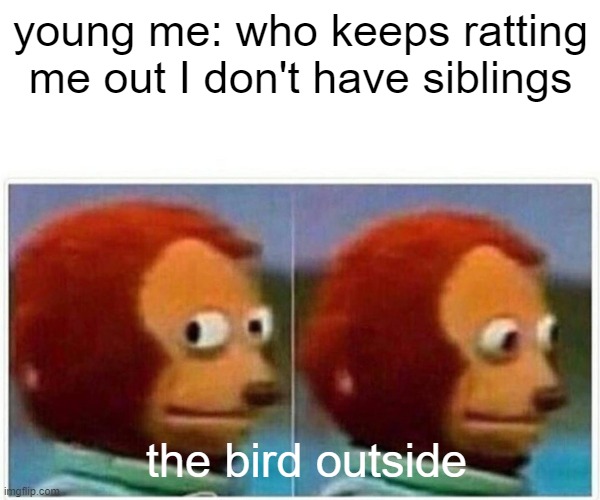 the birdie sees all |  young me: who keeps ratting me out I don't have siblings; the bird outside | image tagged in memes,monkey puppet | made w/ Imgflip meme maker